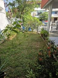Toh Tuck Hill (D21), Terrace #614709041